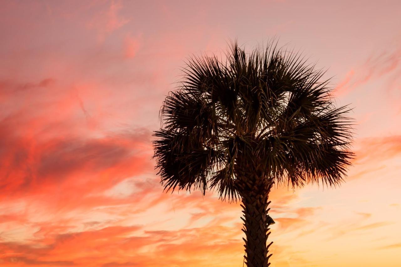 1314 Pelican Watch - Seabrook Island - Beachfront 5 Star Condo - Fido Friendly ภายนอก รูปภาพ