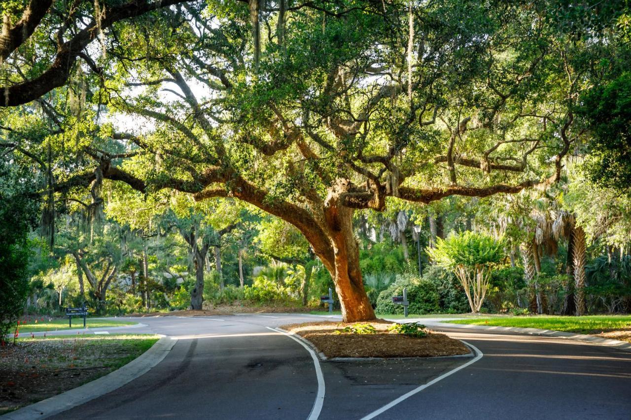 1314 Pelican Watch - Seabrook Island - Beachfront 5 Star Condo - Fido Friendly ภายนอก รูปภาพ