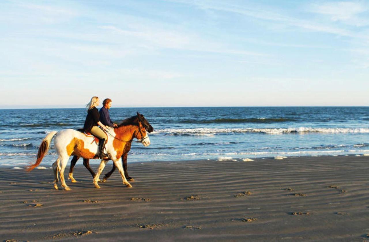 1314 Pelican Watch - Seabrook Island - Beachfront 5 Star Condo - Fido Friendly ภายนอก รูปภาพ